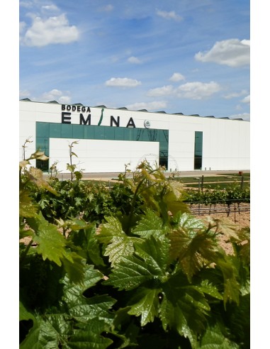 Emina Verdejo 2024