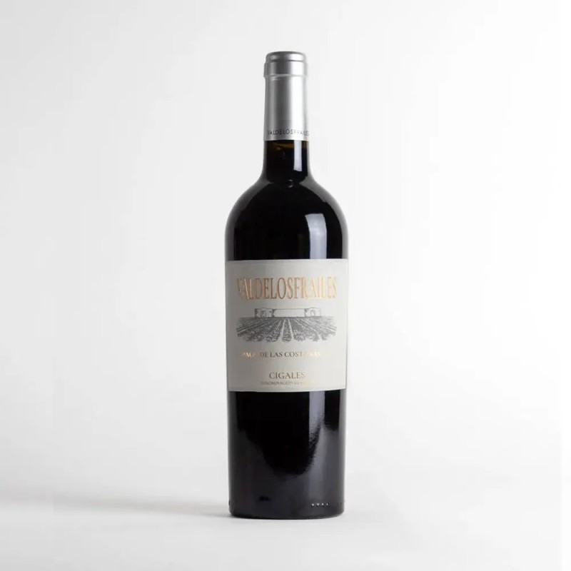 Vino Tinto Pago de las Costanas - Bodega Valdelosfrailes