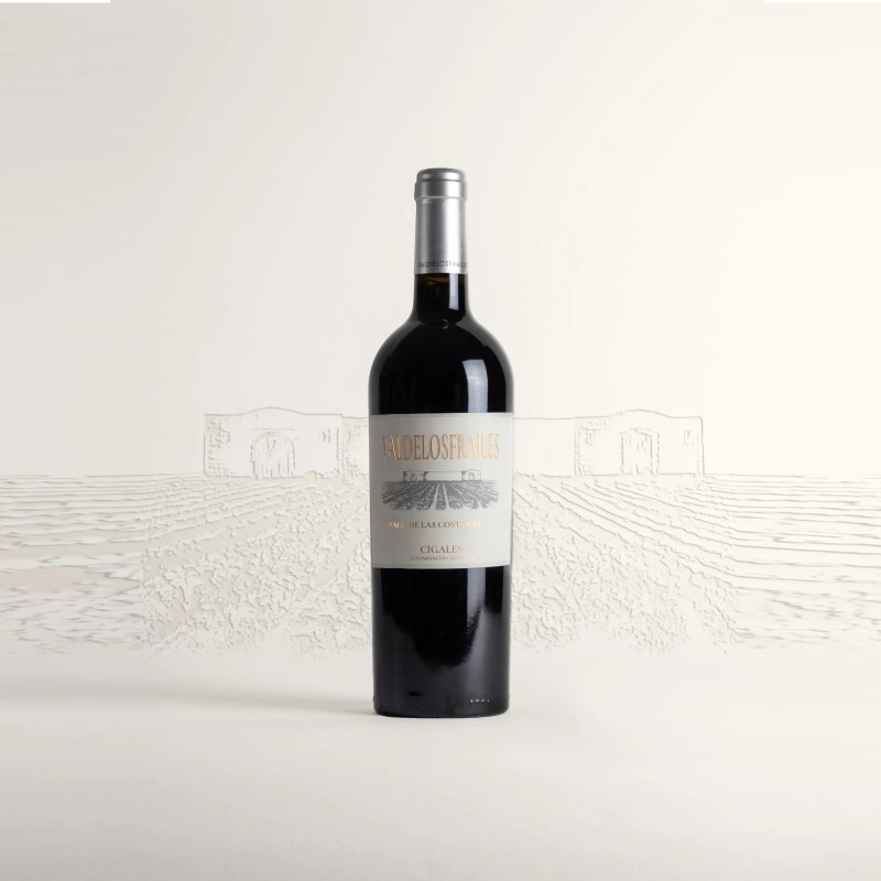 Vino Tinto Pago de las Costanas 2016 - Bodega Valdelosfrailes