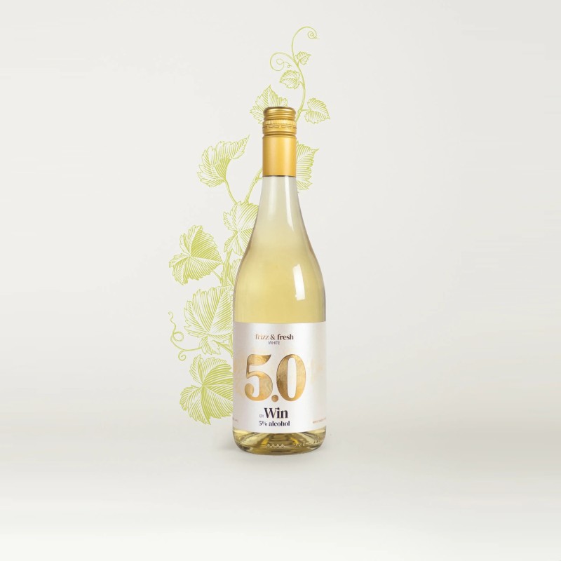 5.0 by WIN BLANCO - Bodega Win