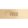 Casar de Vide